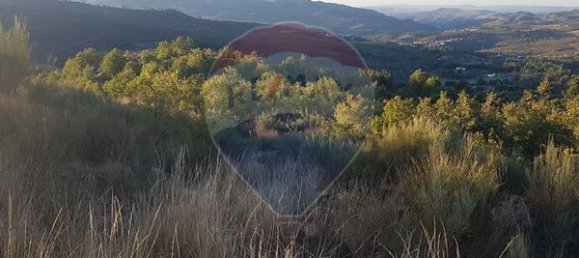 90000m² Land in Sernancelhe, Portugal No. 90062 52