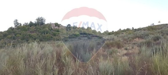 90000m² Land in Sernancelhe, Portugal No. 90062 54