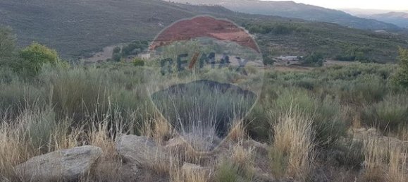 90000m² Land in Sernancelhe, Portugal No. 90062 47