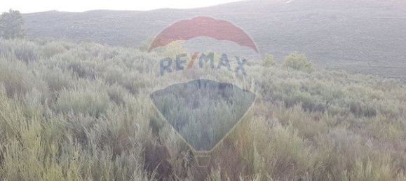 90000m² Land in Sernancelhe, Portugal No. 90062 2