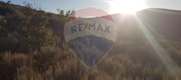 90000m² Land in Sernancelhe, Portugal No. 90062 42