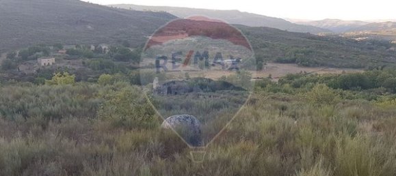90000m² Land in Sernancelhe, Portugal No. 90062 3