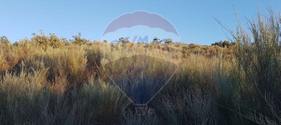 90000m² Land in Sernancelhe, Portugal No. 90062 32