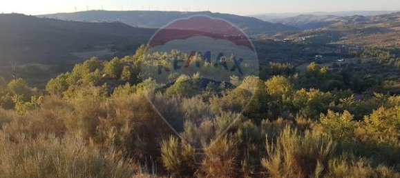 90000m² Land in Sernancelhe, Portugal No. 90062 37