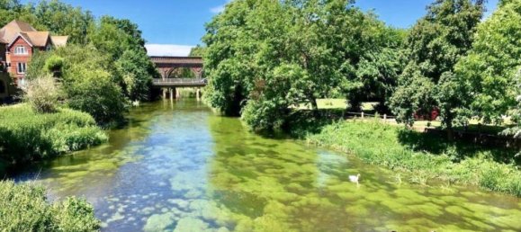 Apartamento T2 em Leatherhead, United Kingdom N.º 13846 12