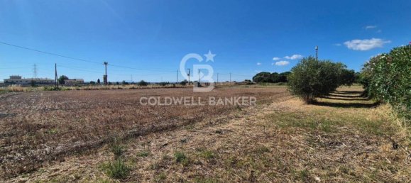 Villa T3 em Tarquinia, Italy N.º 300594 30