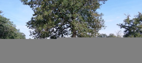 Grundstück in Gouzon, France 26736m², Nr. 331881 6