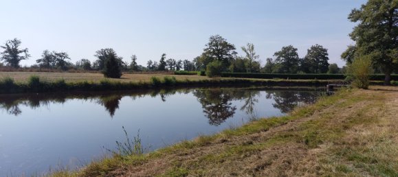 Grundstück in Gouzon, France 26736m², Nr. 331881 5