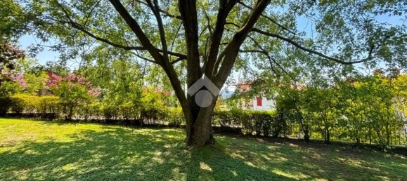 5 rooms Villa in Passirano, Italy No. 307611 14