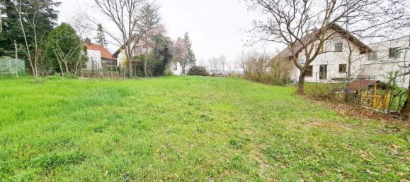 500m² Land in Winden am See, Austria No. 154234 2