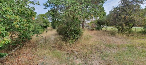 12000m² Hotel in Chalkidiki, Greece No. 3821 4