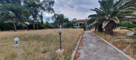 12000m² Hotel in Chalkidiki, Greece No. 3821 6