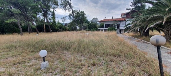 12000m² Hotel in Chalkidiki, Greece No. 3821 5