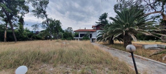 12000m² Hotel in Chalkidiki, Greece No. 3821 3