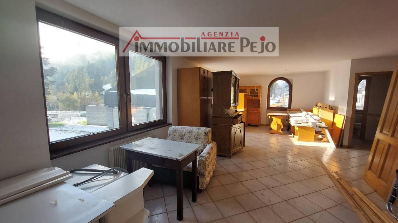 3 rooms Apartment in Peio, Italy No. 33244