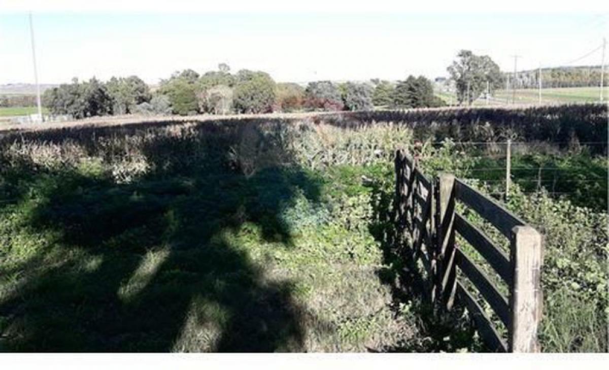  Land in Tandil, Argentina No. 44874