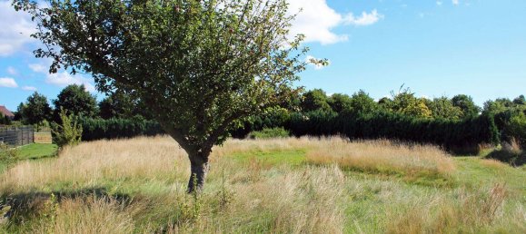 3 bedrooms House in Vorpommern-Rugen, Germany No. 269024 10