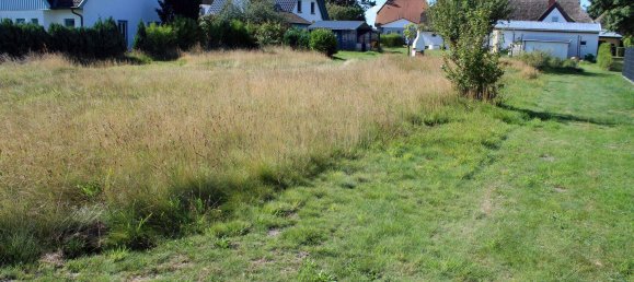 3 bedrooms House in Vorpommern-Rugen, Germany No. 269024 9