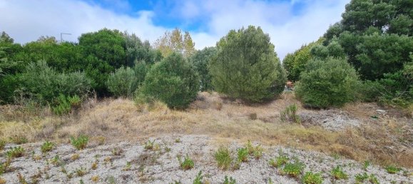 4906m² Land in Sintra, Portugal No. 184172 22