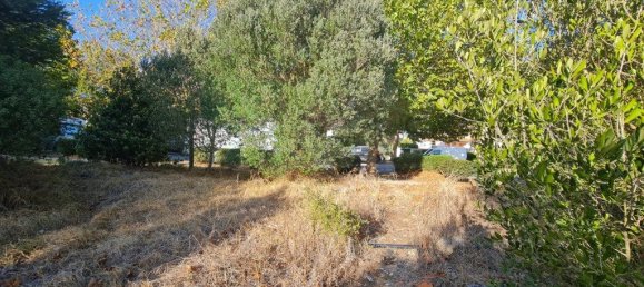 4906m² Land in Sintra, Portugal No. 184172 46