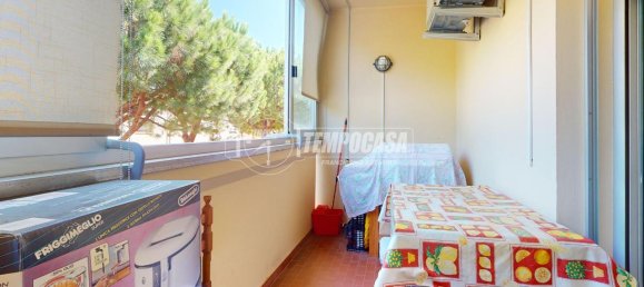 4غرفة شقة في Cervia, Italy رقم 231238 33