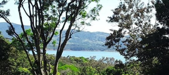 Terrain à Tilaran, Costa Rica No. 1443 3