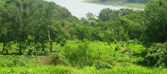 Terrain à Tilaran, Costa Rica No. 1443 4