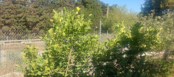 3 bedrooms House in Cadiz, Spain No. 145654 10