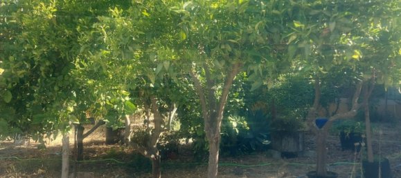 3 bedrooms House in Cadiz, Spain No. 145654 9