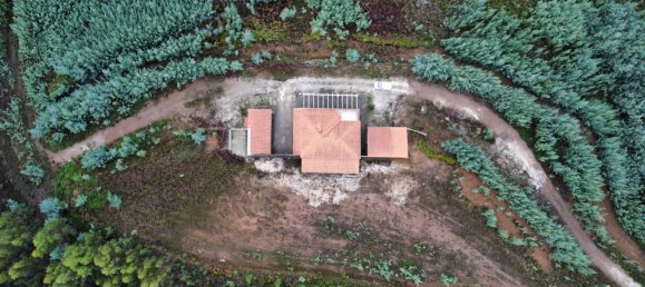 Дом с 4 спальнями в Педроган Гранди, Португалия № 136619 23