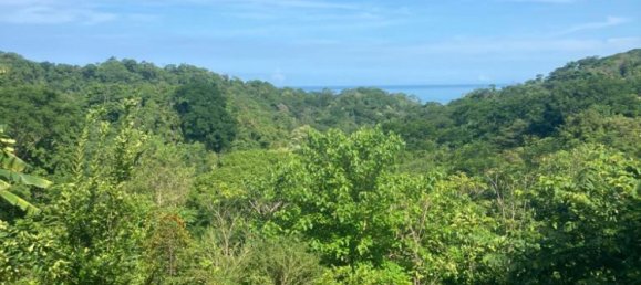 2 غرف نوم منزل في Puntarenas, Costa Rica رقم 11 2