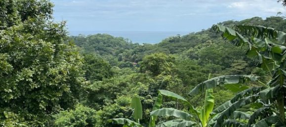 2 غرف نوم منزل في Puntarenas, Costa Rica رقم 11 3