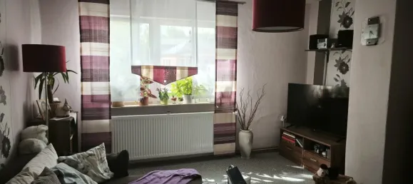 2 غرف نوم منزل في Saalfeld-Rudolstadt, Germany رقم 321821 7