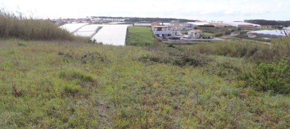 27720m² Land in Torres Vedras, Portugal No. 173145 5