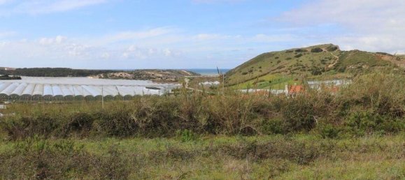 27720m² Land in Torres Vedras, Portugal No. 173145 7