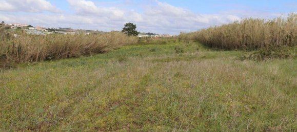 27720m² Land in Torres Vedras, Portugal No. 173145 6