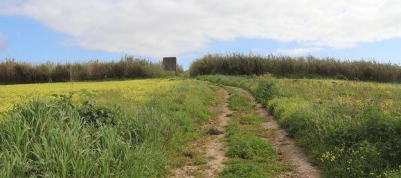 27720m² Land in Torres Vedras, Portugal No. 173145 25