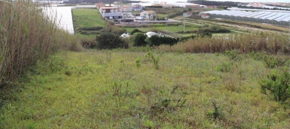 27720m² Land in Torres Vedras, Portugal No. 173145 10