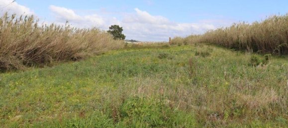 27720m² Land in Torres Vedras, Portugal No. 173145 4