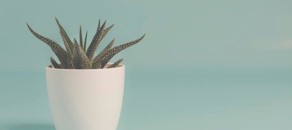 131m² Office in Ravenna, Italy No. 184482 15