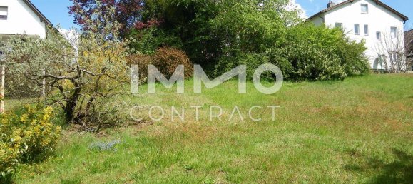 4-salle Maison à Heidenreichstein, Austria No. 184909 10