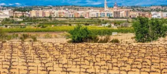 Grundstück in Valencia, Spain 740m², Nr. 174235 4