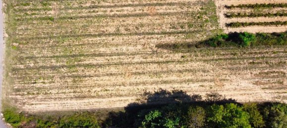  Land in Correns, France No. 114072 2