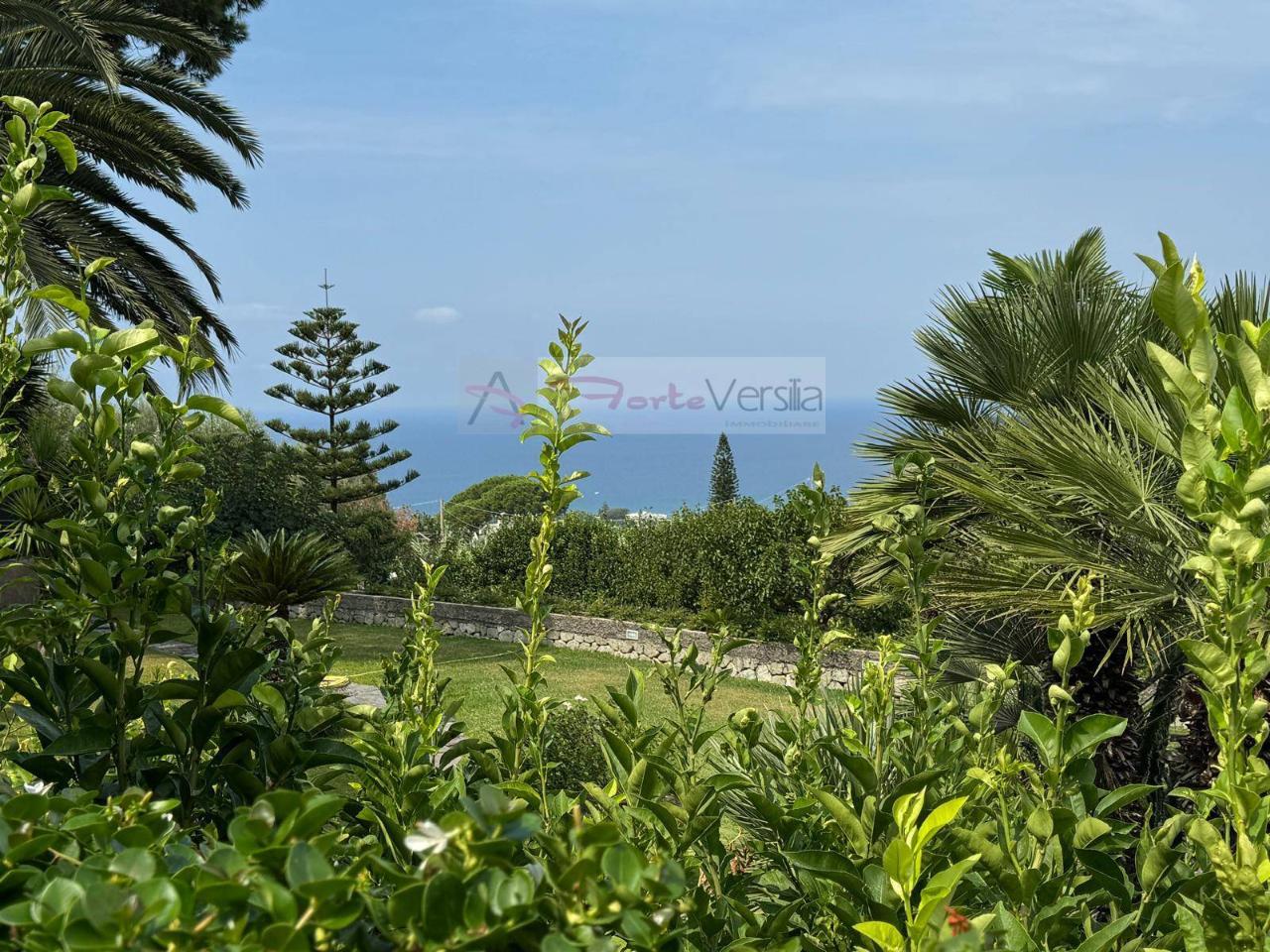 5 rooms Apartment in Lacco Ameno, Italy No. 162976