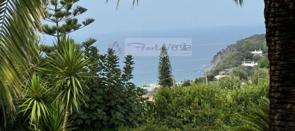 5 rooms Apartment in Lacco Ameno, Italy No. 162976 12