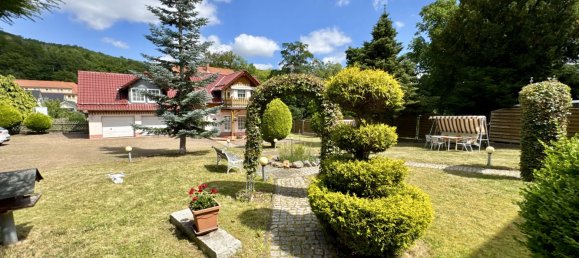 Hotel de 14 dormitorios en Harz, Germany No. 205385 7