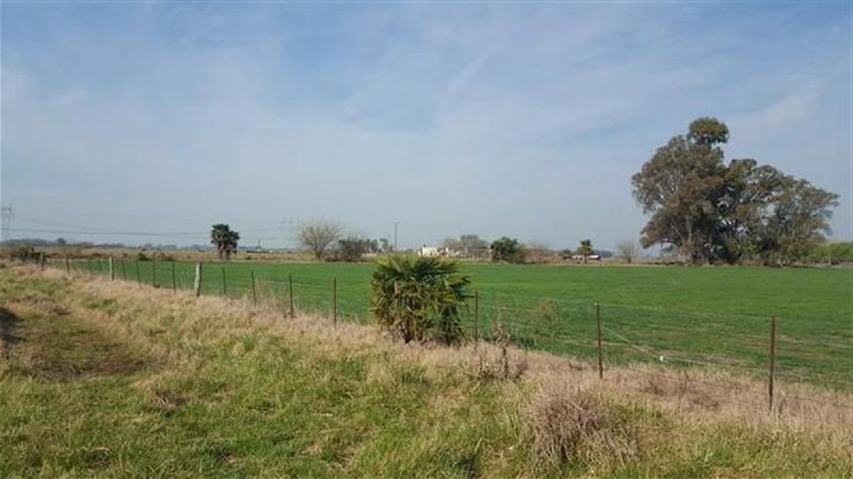 Grundstück in Lobos, Argentina 100m², Nr. 36613