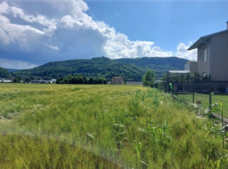 Grundstück in Malo, Italy 5656m², Nr. 303563