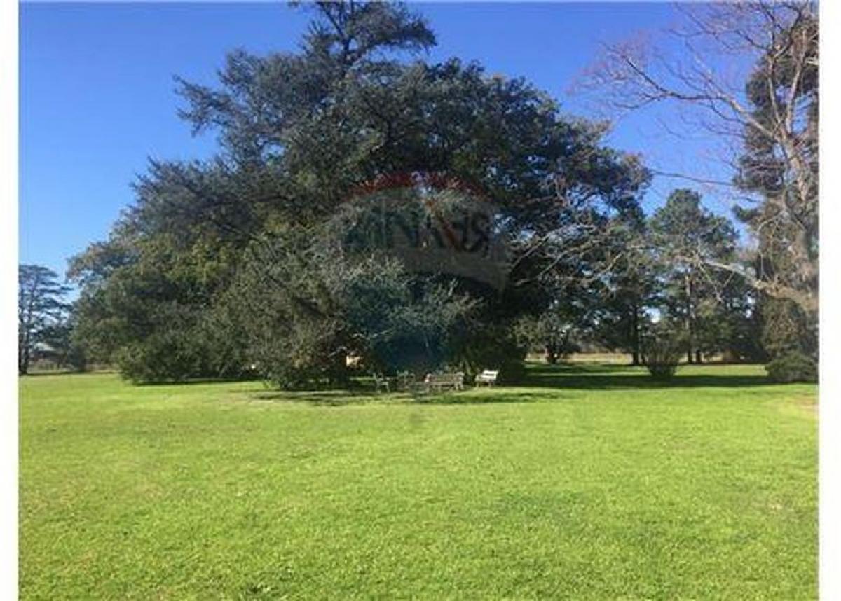  Land in Pilar, Argentina No. 34054