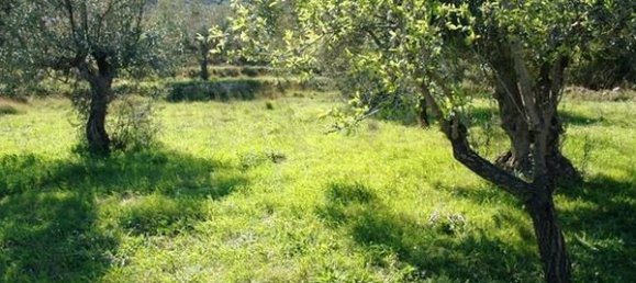 Terreno en Guadalest, Spain No. 108960 35